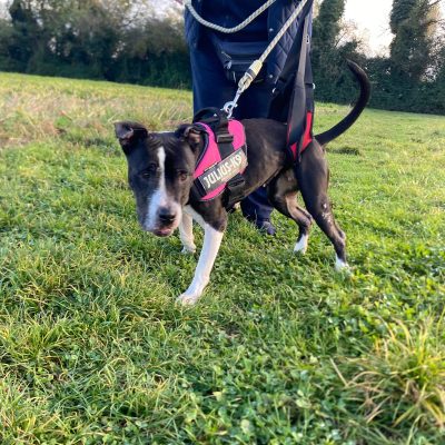 WhatsApp Image 2025-12-10 at 22.36.16