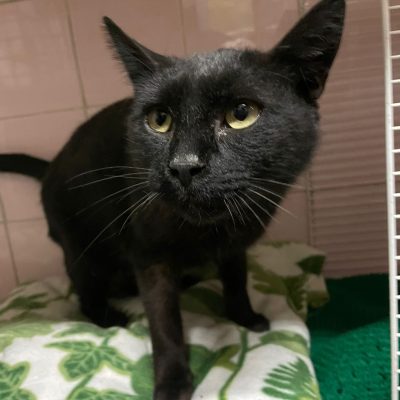 WhatsApp Image 2025-12-14 at 18.59.14