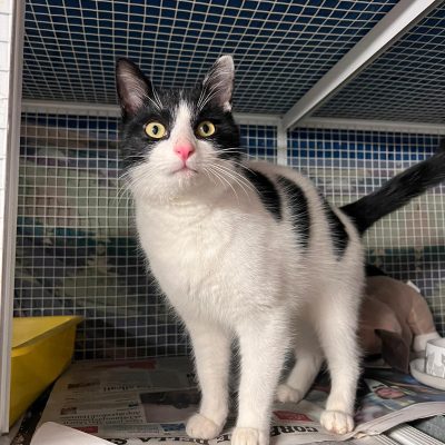 WhatsApp Image 2025-12-14 at 19.00.11