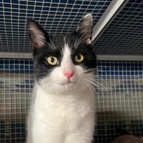 WhatsApp Image 2025-12-14 at 19.00.12