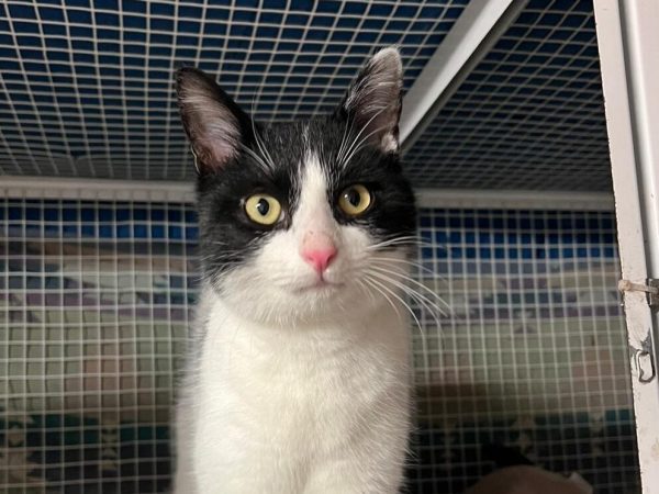 WhatsApp Image 2025-12-14 at 19.00.12