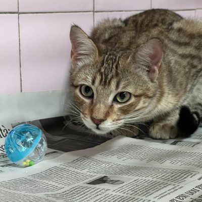 WhatsApp Image 2025-12-14 at 19.00.33 (1)