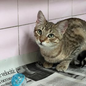 WhatsApp Image 2025-12-14 at 19.00.33