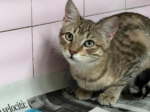 WhatsApp Image 2025-12-14 at 19.00.33