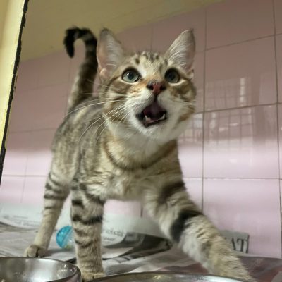 WhatsApp Image 2025-12-14 at 19.09.51