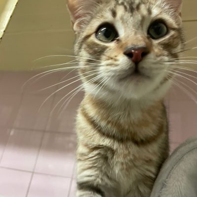 WhatsApp Image 2025-12-14 at 19.09.52