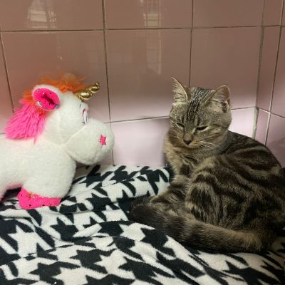 WhatsApp Image 2025-12-14 at 19.10.46 (1)