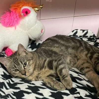 WhatsApp Image 2025-12-14 at 19.10.46