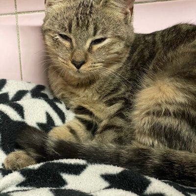 WhatsApp Image 2025-12-14 at 19.10.47