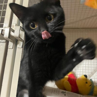 WhatsApp Image 2025-12-15 at 16.20.58 (1)