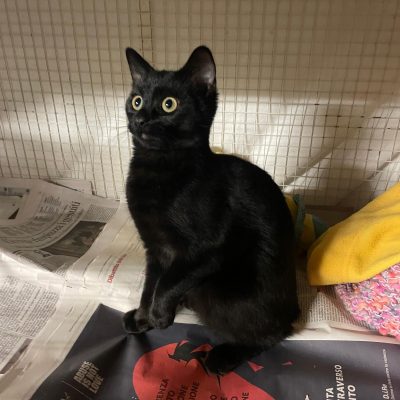 WhatsApp Image 2025-12-15 at 16.20.58 (2)