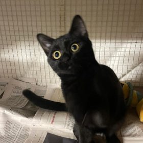 WhatsApp Image 2025-12-15 at 16.20.59