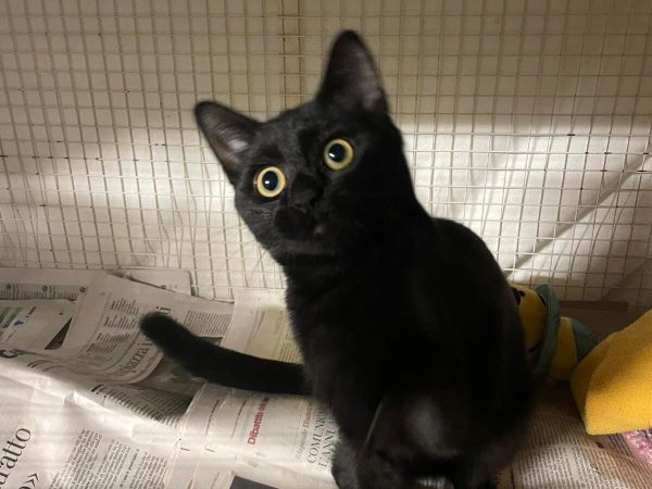 WhatsApp Image 2025-12-15 at 16.20.59