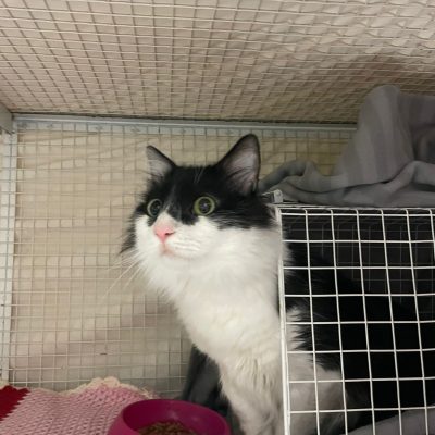 WhatsApp Image 2025-12-15 at 16.39.48 (1)