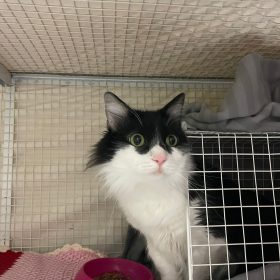 WhatsApp Image 2025-12-15 at 16.39.48