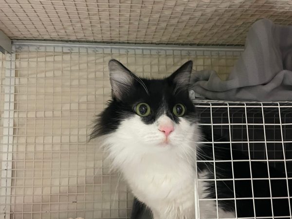 WhatsApp Image 2025-12-15 at 16.39.48