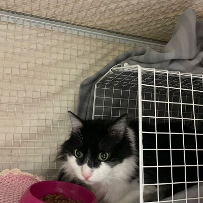 WhatsApp Image 2025-12-15 at 16.39.49