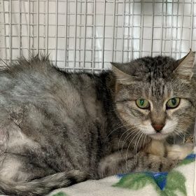 WhatsApp Image 2025-12-16 at 18.06.17