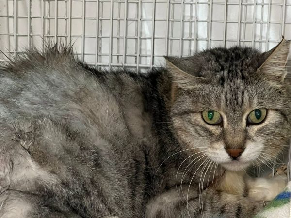 WhatsApp Image 2025-12-16 at 18.06.17