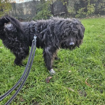 WhatsApp Image 2025-12-17 at 18.10.014