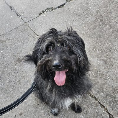 WhatsApp Image 2025-12-17 at 18.10.04