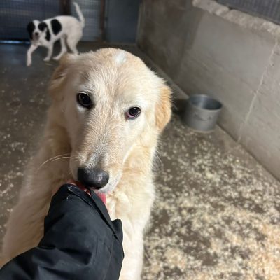 WhatsApp Image 2025-12-17 at 19.17.02