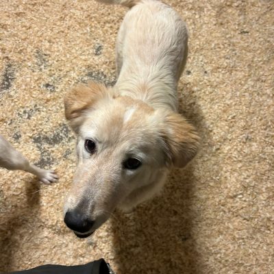 WhatsApp Image 2025-12-17 at 19.17.03