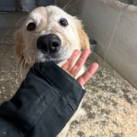 WhatsApp Image 2025-12-17 at 191.17.02