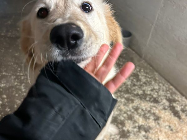 WhatsApp Image 2025-12-17 at 191.17.02