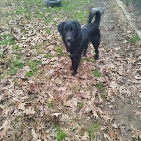 WhatsApp Image 2026-01-02 at 12.53.38