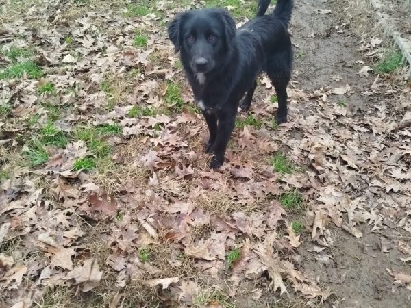 WhatsApp Image 2026-01-02 at 12.53.38