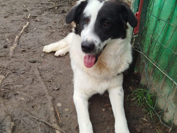 WhatsApp Image 2026-01-02 at 13.07.35