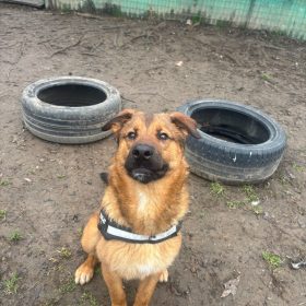 WhatsApp Image 2026-01-18 at 20.56.15