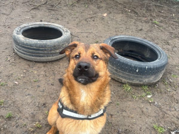 WhatsApp Image 2026-01-18 at 20.56.15