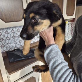 WhatsApp Image 2026-01-22 at 23.35.13 (1)