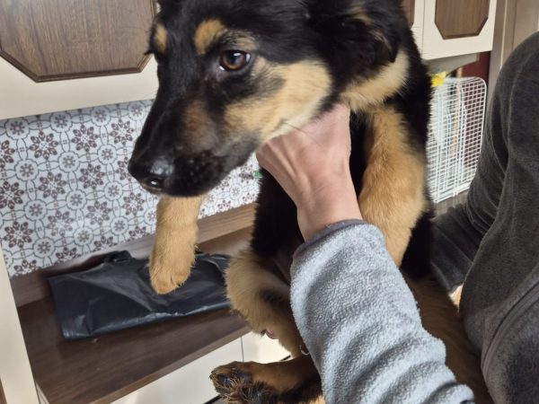 WhatsApp Image 2026-01-22 at 23.35.13 (1)