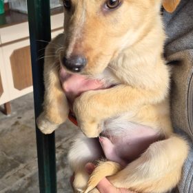 WhatsApp Image 2026-01-22 at 23.35.13 (2)