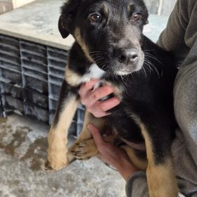 WhatsApp Image 2026-01-22 at 23.35.13