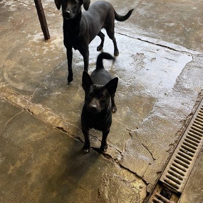 WhatsApp Image 2026-01-23 at 11.47.06