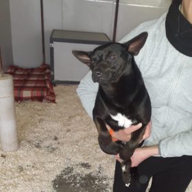 WhatsApp Image 2026-01-23 at 12.17.13