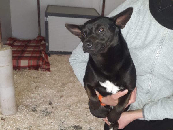 WhatsApp Image 2026-01-23 at 12.17.13