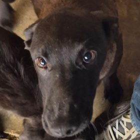 WhatsApp Image 2026-01-29 at 11.47.07