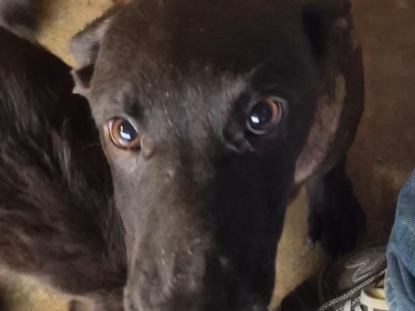 WhatsApp Image 2026-01-29 at 11.47.07