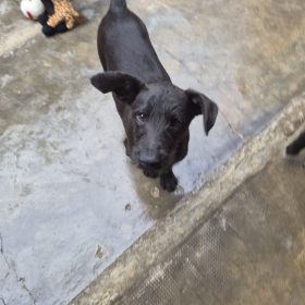 WhatsApp Image 2026-01-29 at 16.13.46