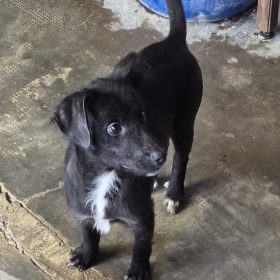 WhatsApp Image 2026-01-29 at 16.13.48