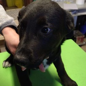 WhatsApp Image 2026-02-06 at 16.13.18