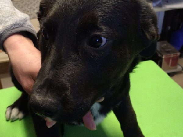 WhatsApp Image 2026-02-06 at 16.13.18