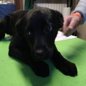 WhatsApp Image 2026-02-06 at 16.13.53