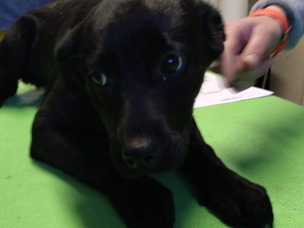 WhatsApp Image 2026-02-06 at 16.13.53