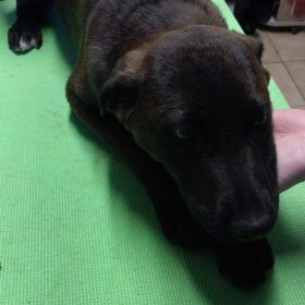 WhatsApp Image 2026-02-06 at 16.14.12